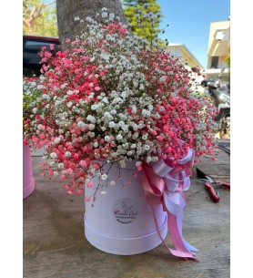 KUTUDA PEMBE - BEYAZ CİPSO